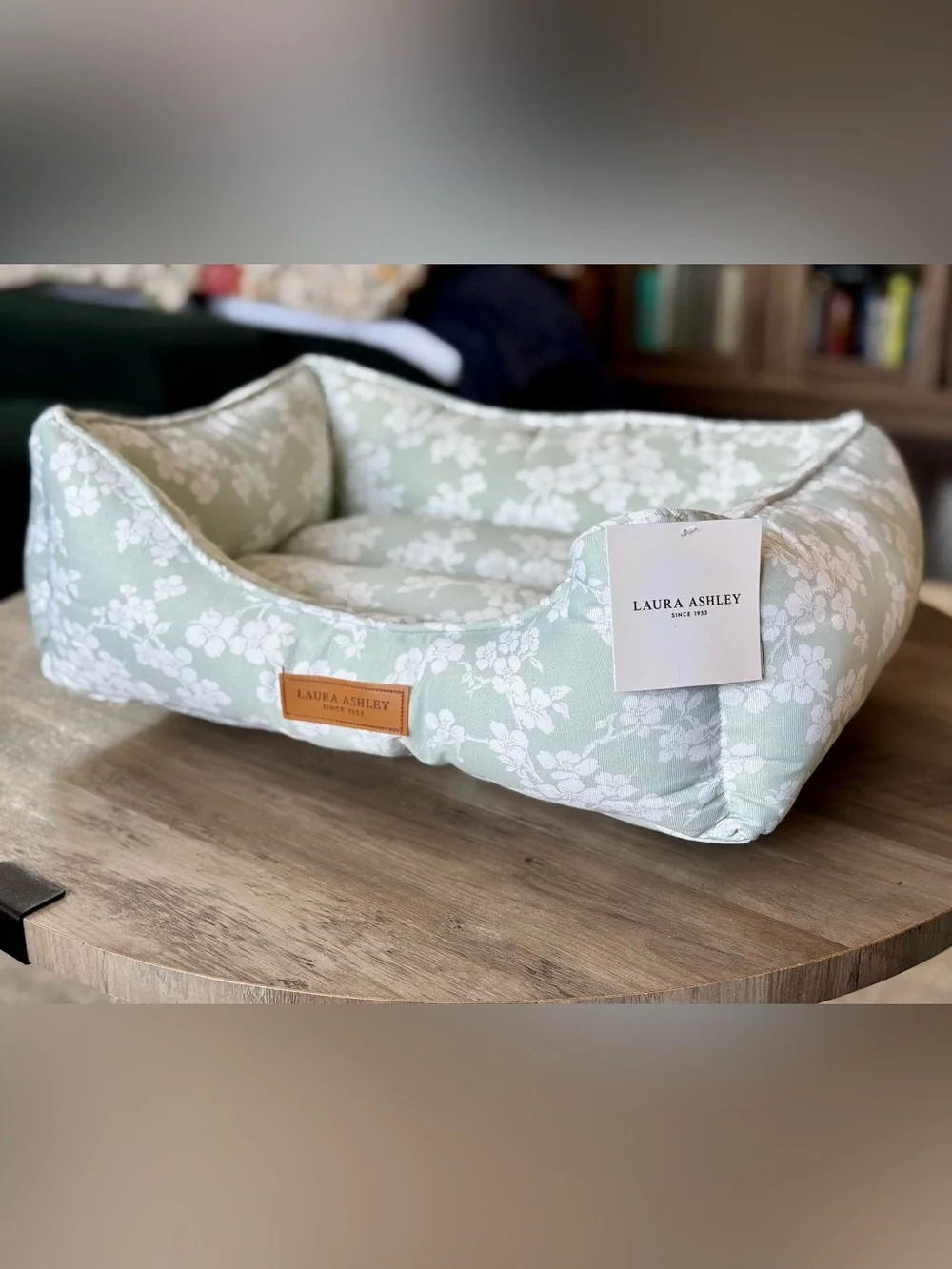 Laura Ashley stylish pet